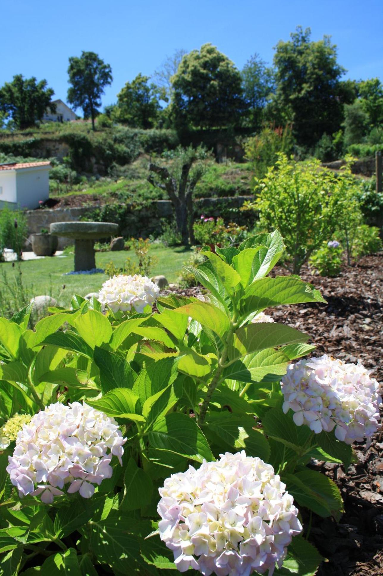 Quinta Vale Do Nox Villa Serrazes Luaran gambar