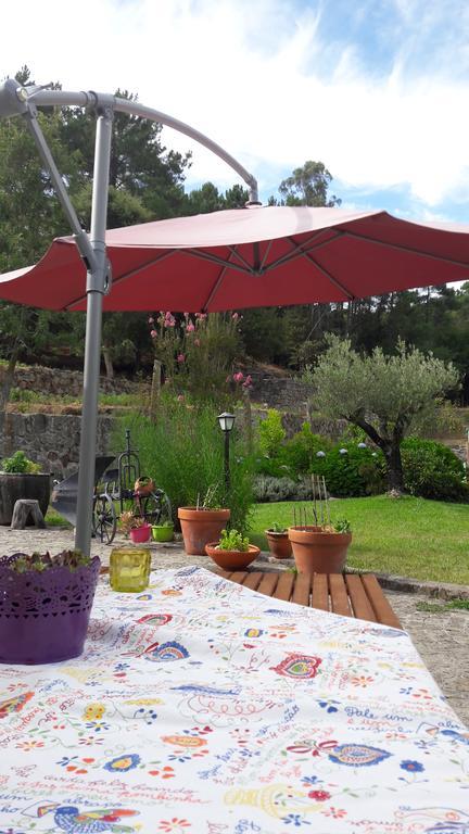Quinta Vale Do Nox Villa Serrazes Luaran gambar