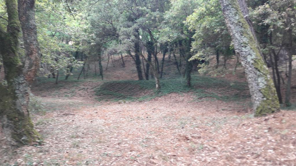 Quinta Vale Do Nox Villa Serrazes Luaran gambar