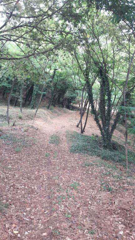 Quinta Vale Do Nox Villa Serrazes Luaran gambar